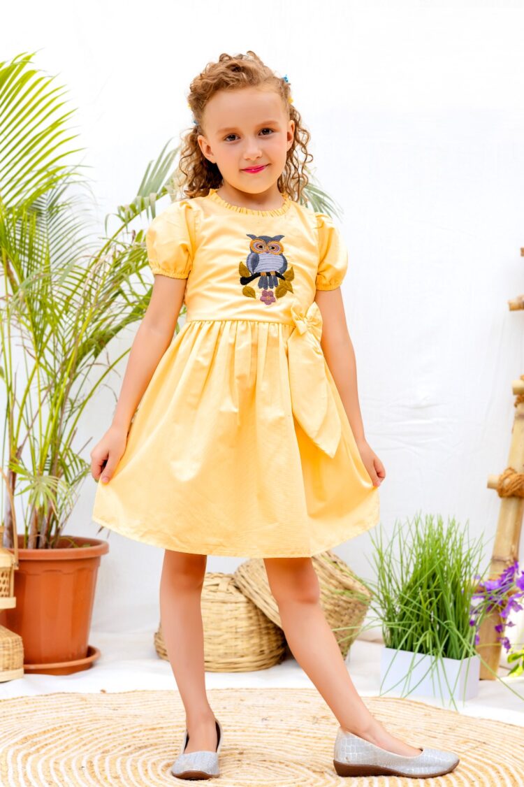 Golden Owl Embroidered Puff Sleeve Dress for GIRLS