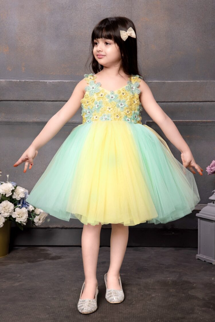 Yellow and Green Floral Embellished Tulle Party Dress for Girls